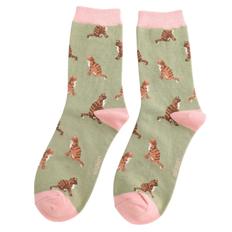 Miss Sparrow tabby cat socks Olive